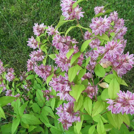 Apartment Loftwohnung 3 Bergeblick *