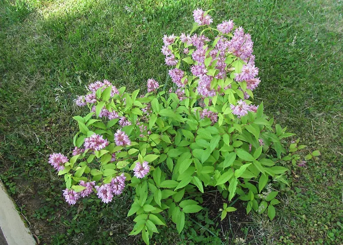 Loftwohnung 3 Bergeblick דירה Ettringen (Rhineland-Palatinate)